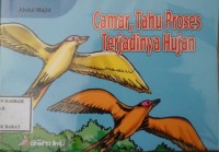 Image of Camar, Tahu Proses Terjadinya Hujan